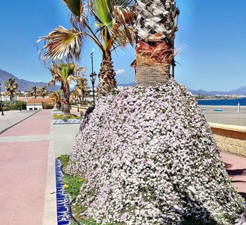 28 Mikonos Playa In Puerto De La Duquesa 2 Bed 2 Bath Apartment Ideally Located To The Beach & Marina Castillo de Sabinillas Bagian luar foto